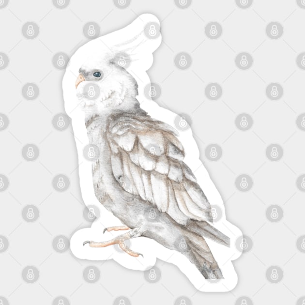 cockatiel watercolor parrot Sticker by Oranjade0122